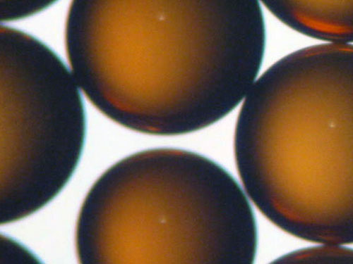 Ion Exchange Resins Ion Exchange Resins